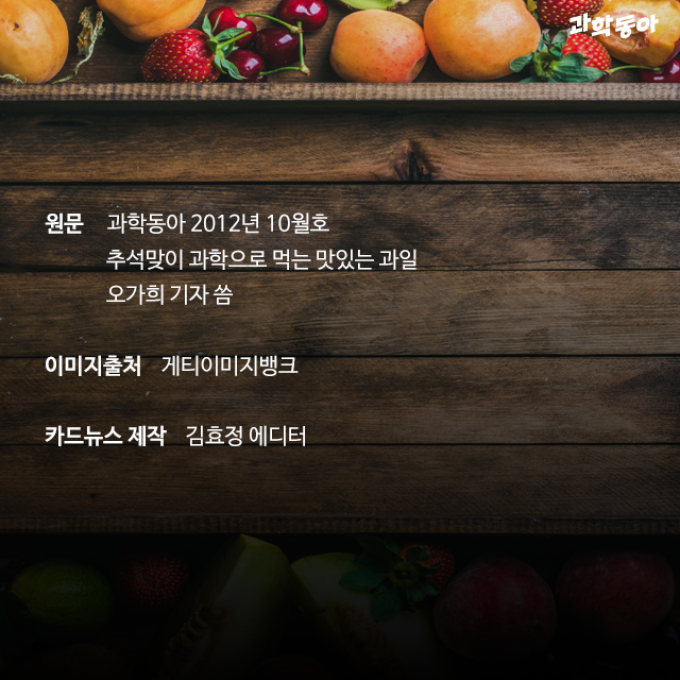 (주)동아사이언스 제공